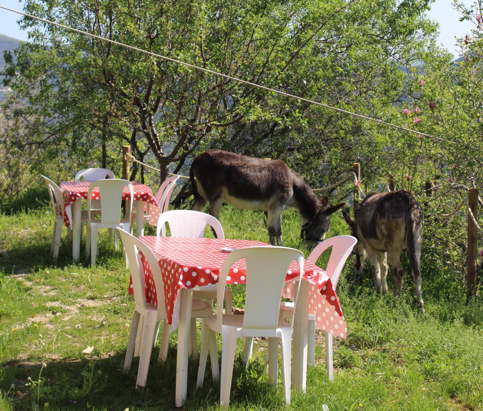 Segni E Impronta Bed and Breakfast Finale Ligure Exteriör bild