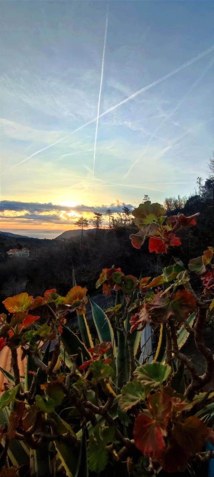Segni E Impronta Bed and Breakfast Finale Ligure Exteriör bild
